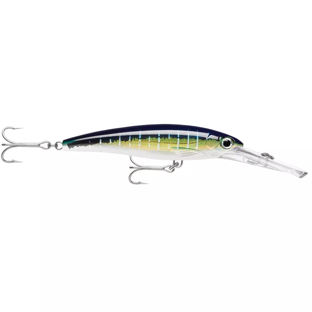 Rapala X-Rap Magnum 15 Sailfish UV