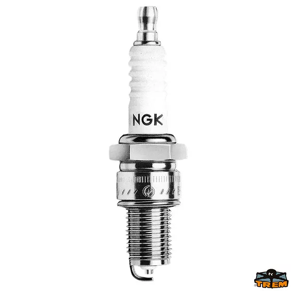 Trem E1008010 - Ngk Spark Plug B8Hs-10
