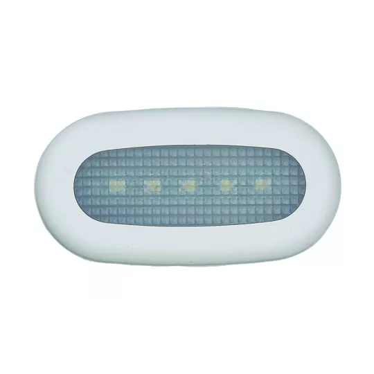 A.A.A. Waterproof Courtesy Light 5 LED Blue
